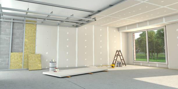 Best Attic Insulation Installation  in Washoe Valley, NV