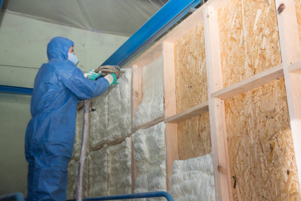 Insulation Contractors for Homes in Washoe Valley, NV
